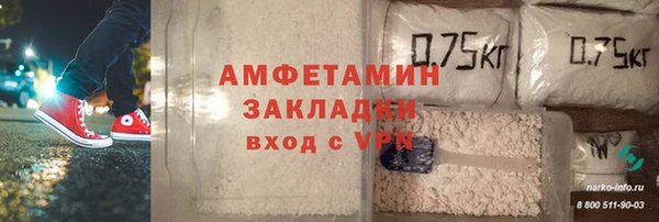 молекула духа Алексеевка
