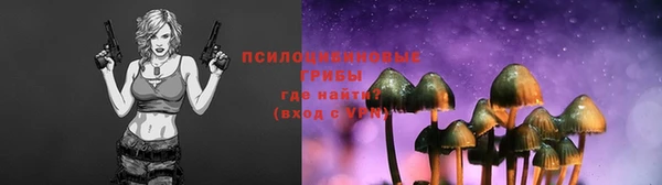 меф Протвино