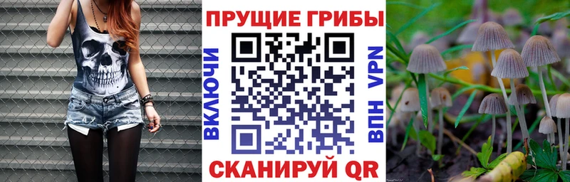 Псилоцибиновые грибы Magic Shrooms  купить  сайты  Тосно 